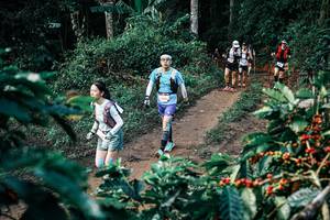 BIB: 
                            <button type="button" onclick="openModal(25834155)" class="btn btn-primary btn-sm float-right btn-popup" data-toggle="modal" data-target=".modal-high-quality">
                        <i class="fas fa-shopping-cart"></i> Add to Cart
                    </button>
                                            <button type="button" onclick="isThisMe(25834155, true)" class="btn btn-success btn-sm float-right btn-popup btn-isme hidden" data-toggle="tooltip" data-placement="bottom" title="นี่คือรูปของคุณใช่ไหม คลิกที่นี่เพื่อเอาเข้าอัลบั้ม">
                        <i class="fas fa-plus"></i> Add to album
                    </button>
                    <button type="button" onclick="isThisMe(25834155, false)" class="btn btn-warning btn-sm float-right btn-popup btn-isnotme hidden">
                        <i class="fas fa-ban"></i> Remove from album
                    </button>